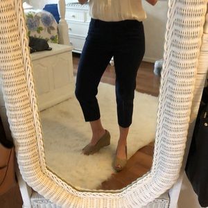 Ann Taylor Signature Navy Crop Pants